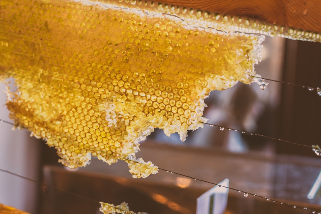 Photo bees, honeycomb